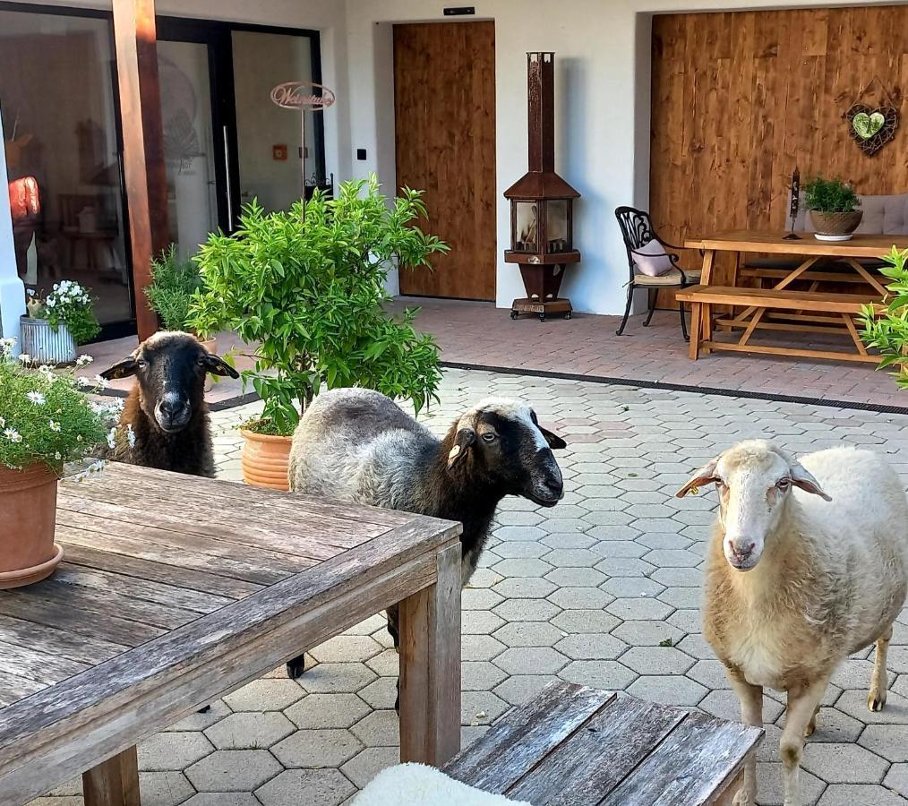 Roiderhof Irrsee Oberhofen am Irrsee Εξωτερικό φωτογραφία