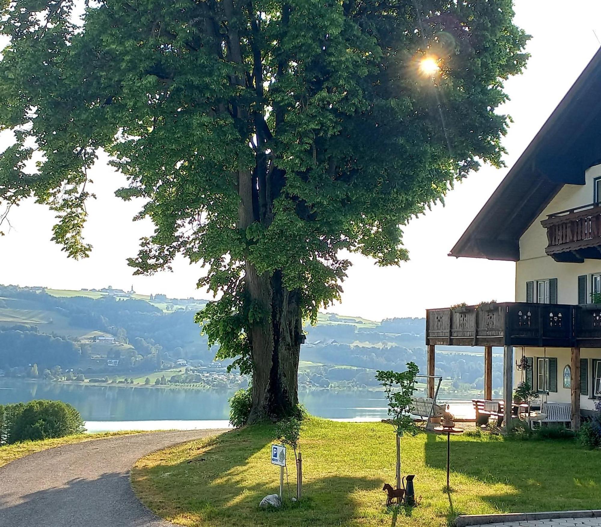 Roiderhof Irrsee Oberhofen am Irrsee Εξωτερικό φωτογραφία